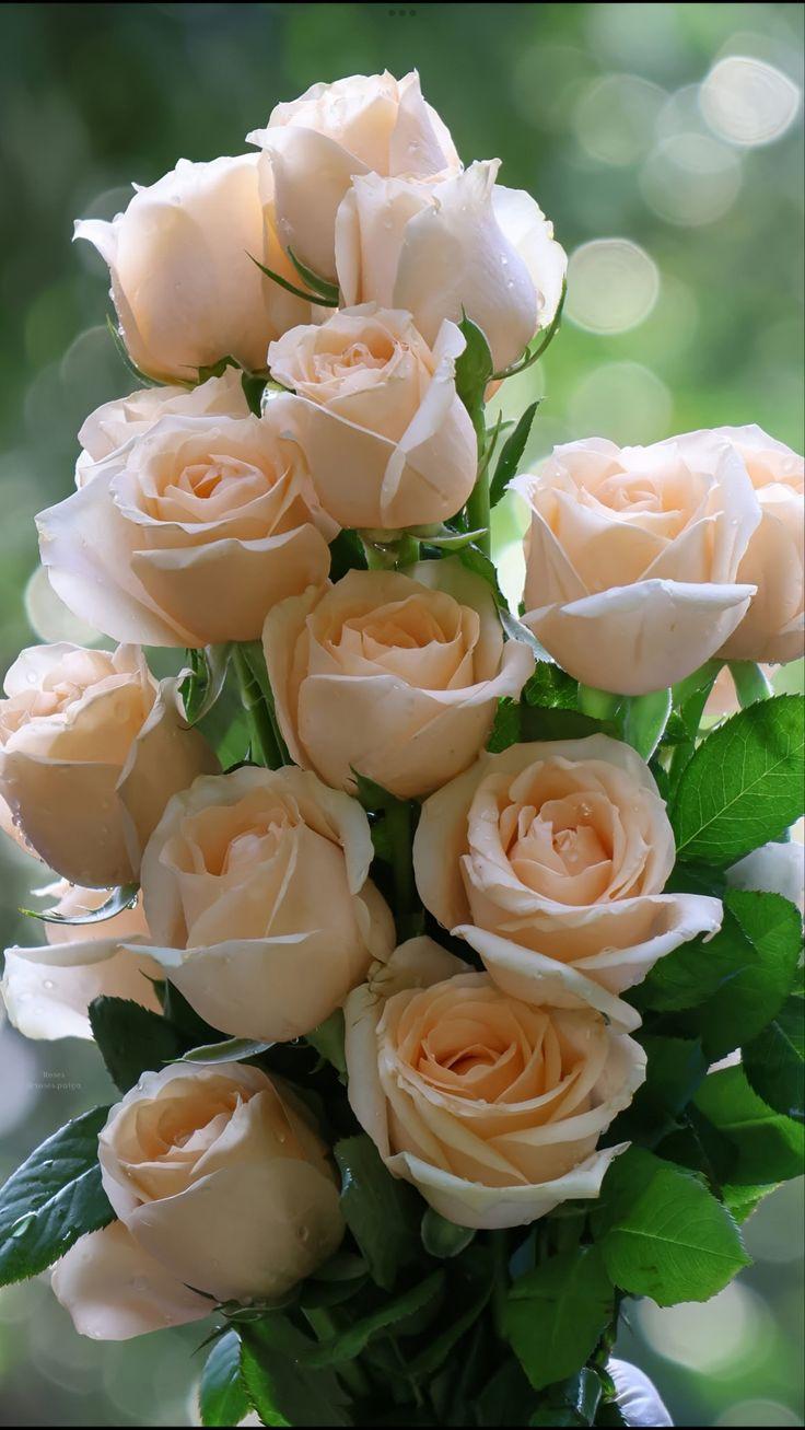 Natural Mind Concepts workshop space where corporate flower arrangements are designed and prepared for business delivery